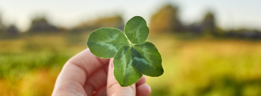 Kleeblatt als Glückssymbol für die Heilpraktikerprüfung Herbst 2025